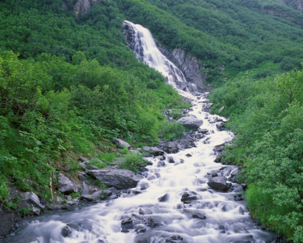 水果布霖的营养成分